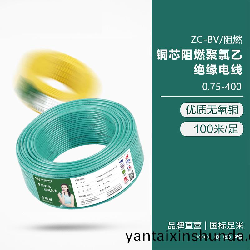 ZC-BV/阻燃 銅芯(xin)阻燃聚(ju)氯乙絕緣(yuan)電線0.75-400